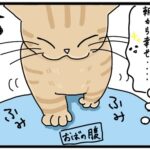アイロニー